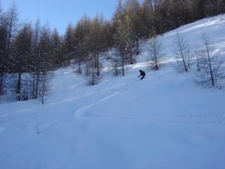 Anche nel bosco ancora farina !!!!