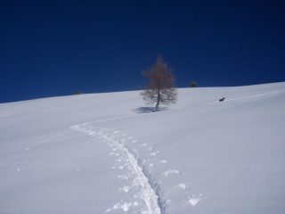 verso la orsale
