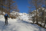 Tra i radi larici   I   Entre les mélèzes clairsemés   I   Amid thinly spaced-out larch trees   I   Zwischen den spärlichen Lärchen   I   Entre los escasos alerces