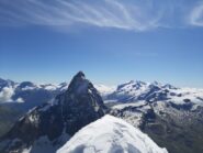 Panoramica dalla cima della Dent d'Herens.