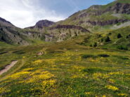 splendide fioriture sotto il col des Estronques  