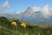 tornando al Colle della Bicocca