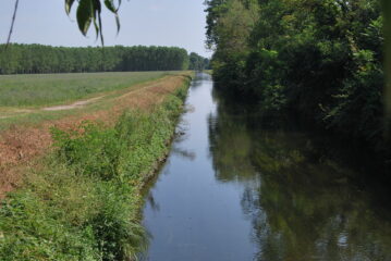 Sul Naviglio Sforzesco: vista verso valle, a Torre Mandelli, andando verso la SS11