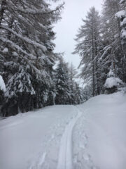 In trincea