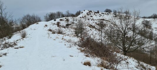 salendo verso il Monte Carossino