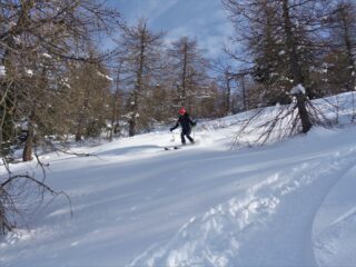 Splendida neve ovunque