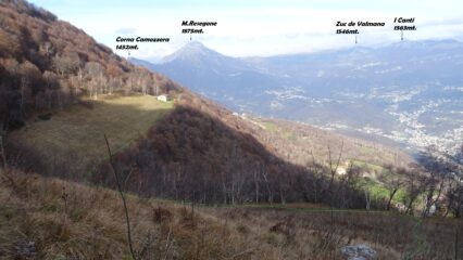 Dopo essere passato a fatica in un bosco fresco di taglio intercetto la strada che da Cà Brodelli traversa verso il M.Linzone.