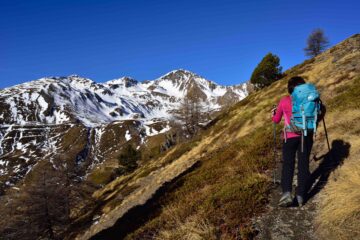 Salendo sopra l'Alpe Loé