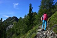 Sul sentiero della cresta Nord della Becca d'Aver