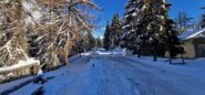 il primo tratto della stradina innevata dal Colle della Melosa