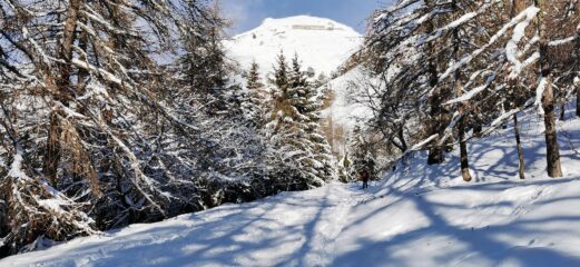 la prima parte della stradina militare percorsa, con il Monte Grai e rifugio omonimo sullo sfondo