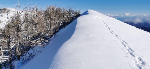in vetta alla Cima della Valletta