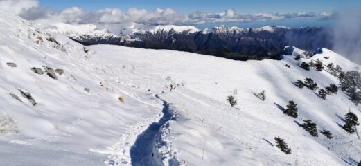 scendendo al Colle della Melosa lungo il sentiero che sale al Rifugio Monte Grai