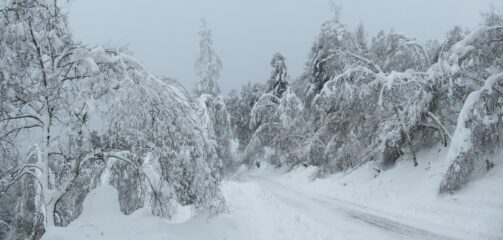 Spettacolo sul tracciolino