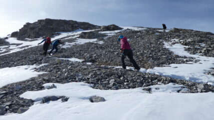 salendo la prima parte dell'ampia cresta-dorsale Sud dello Schollihorn