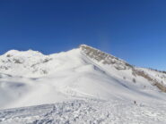 Oggi 2 colori: BLU e BIANCO