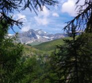 Il Grand Combin visto dalla Gaula