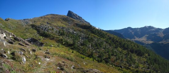 Alpeggio Crotey Desot lunego il sentiero per il Col Crotey, visibile in alto a sx