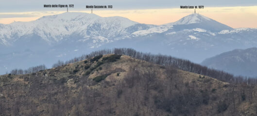 panorami osservati dal Monte Carossino...01